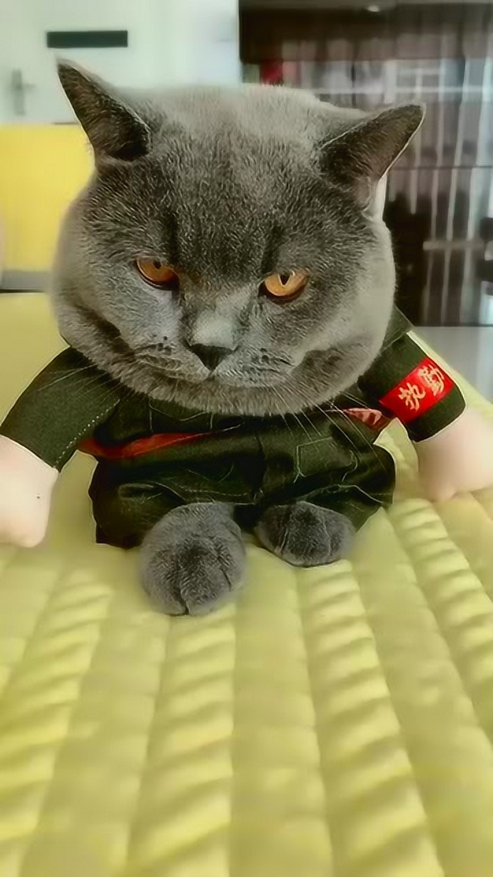 一惊一乍的吓唬人