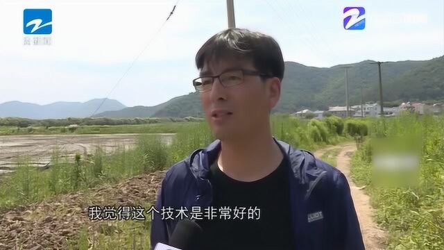 宁波:生态种养 首次生物全降解地膜技术在象山试行