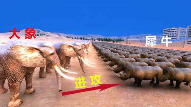 1000头大象凭借体型优势,扑向1000头犀牛,能打赢吗?