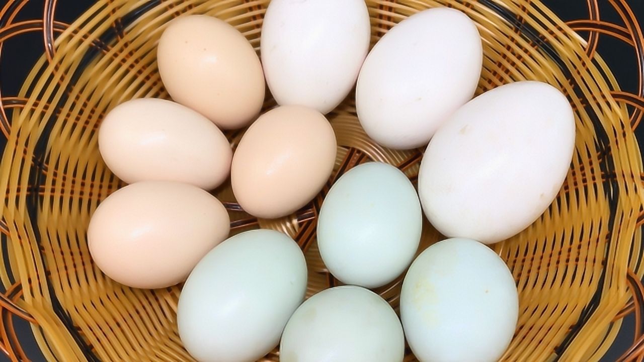 鸡蛋,鸭蛋,鹅蛋哪个营养最高?今天总算知道了,以后别再吃错了