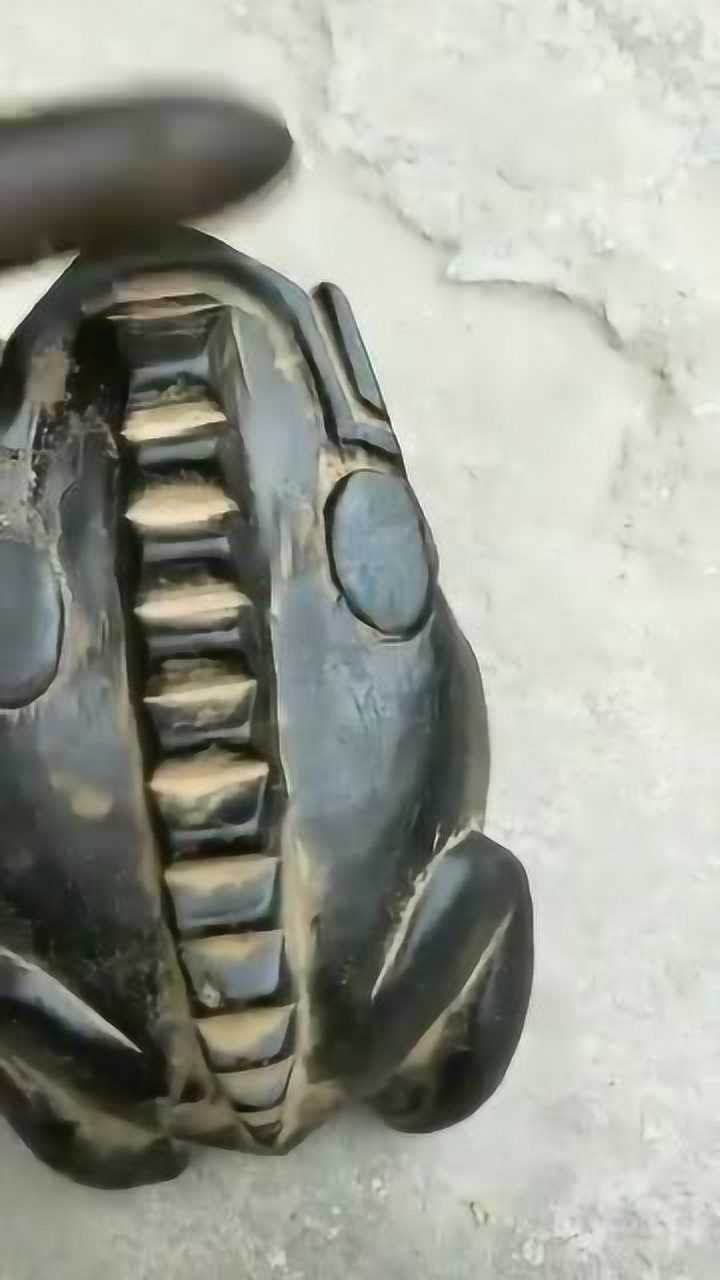 买了个捕蛙神器可模仿母青蛙叫声真是长见识了
