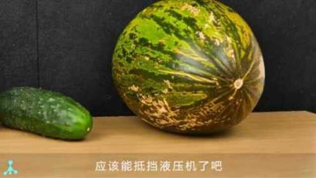 当液压机遇液氮水果,那画面太美我不好看