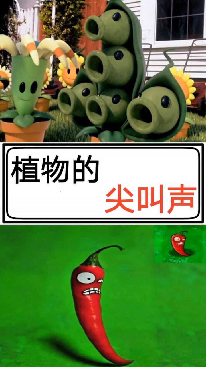 植物的尖叫声