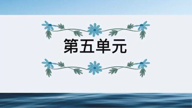 部编版语文四年级下册期末复习听写第五单元