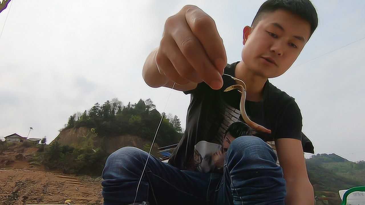 泥鳅钓鱼就是快全程实拍挂钩到上鱼一分钟搞定