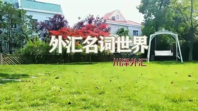 「外汇名词世界」02期:锁仓