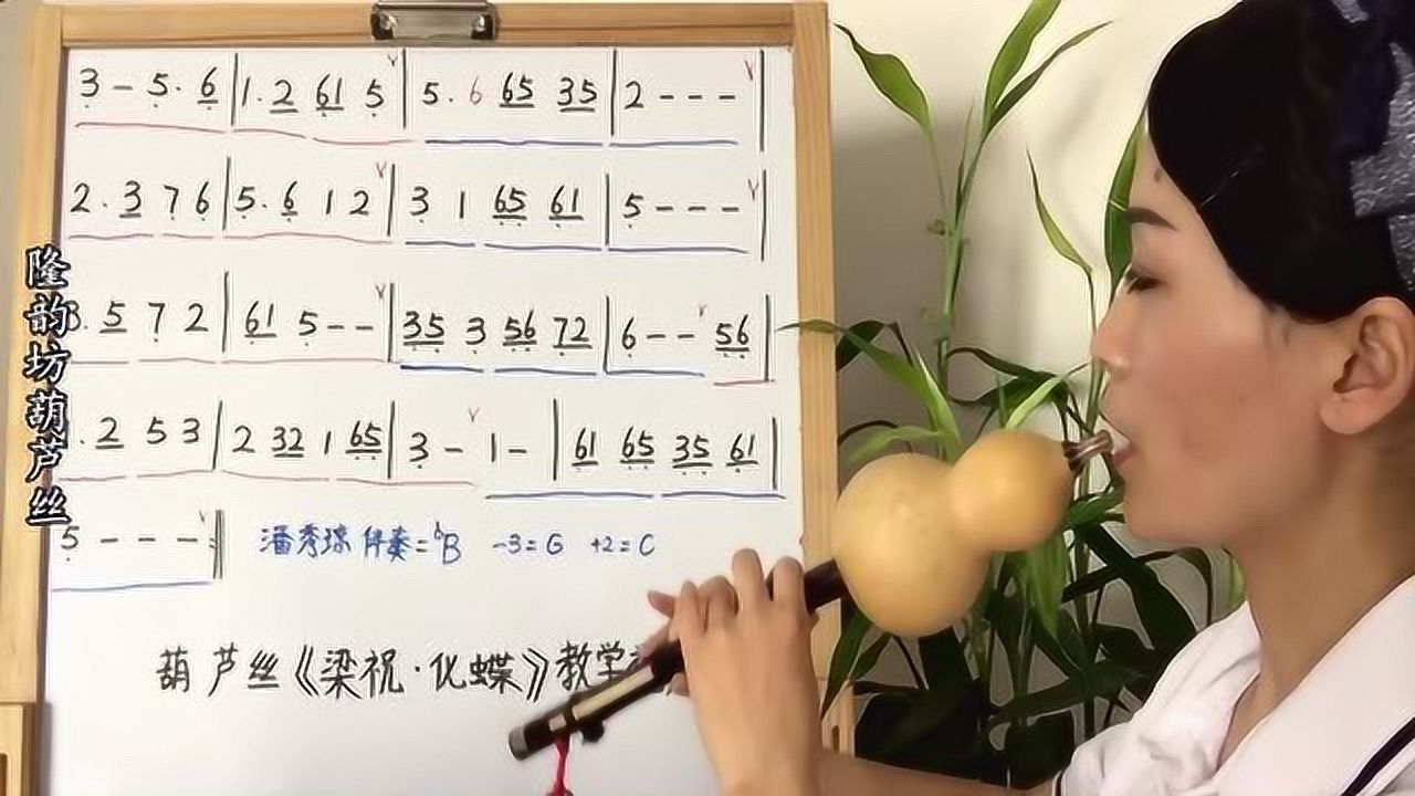 葫芦丝独奏葫芦丝入门学习梁祝化蝶七孔降b调