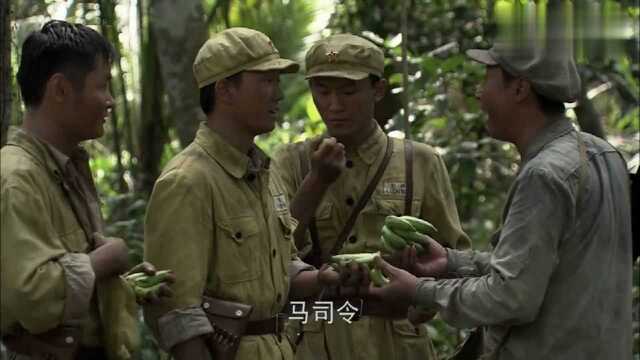 解放军登陆海南岛后,为粮食犯愁,没想到树林里有这么多好吃的