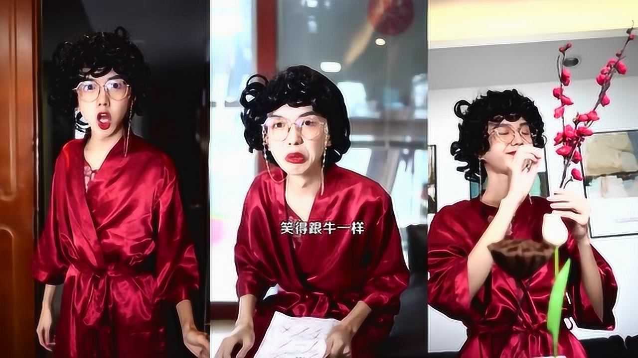 神探包租婆包租婆老是错怪菜头还鄙视她笑得跟牛一样