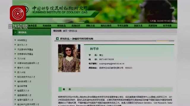 小学生研究癌症论文一等奖被撤销,其父道歉