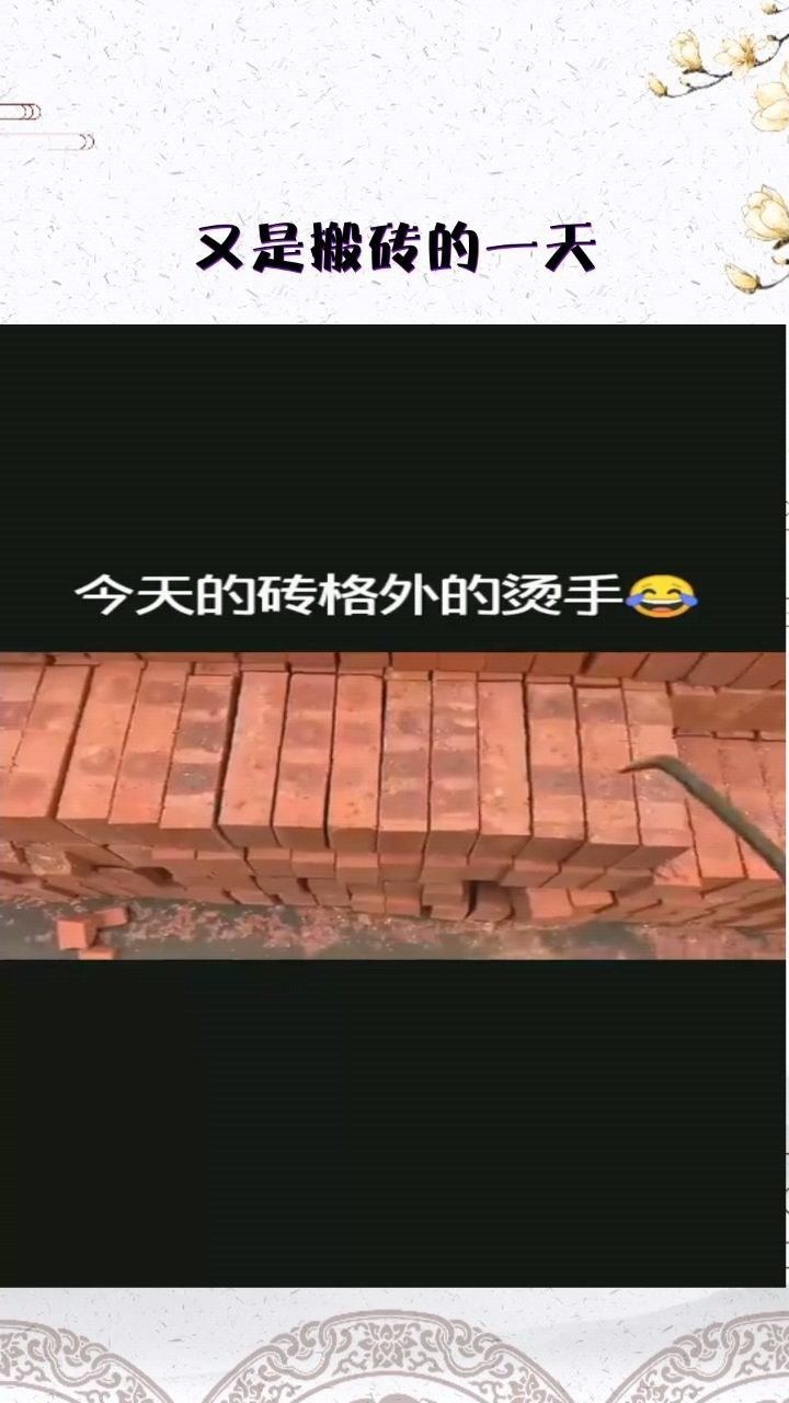 又是搬砖的一天