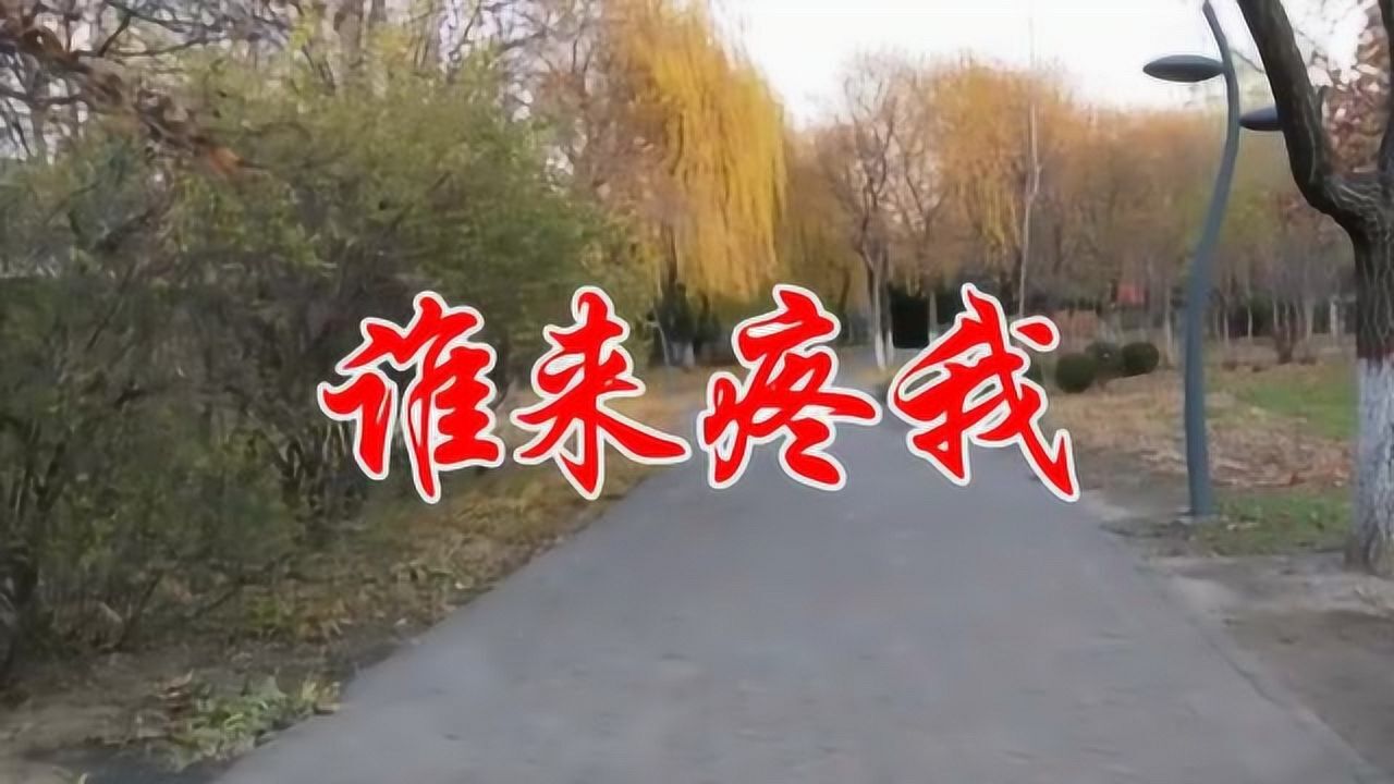 红蔷薇一首谁来疼我满满的真情呼唤听哭多少痴情的恋人