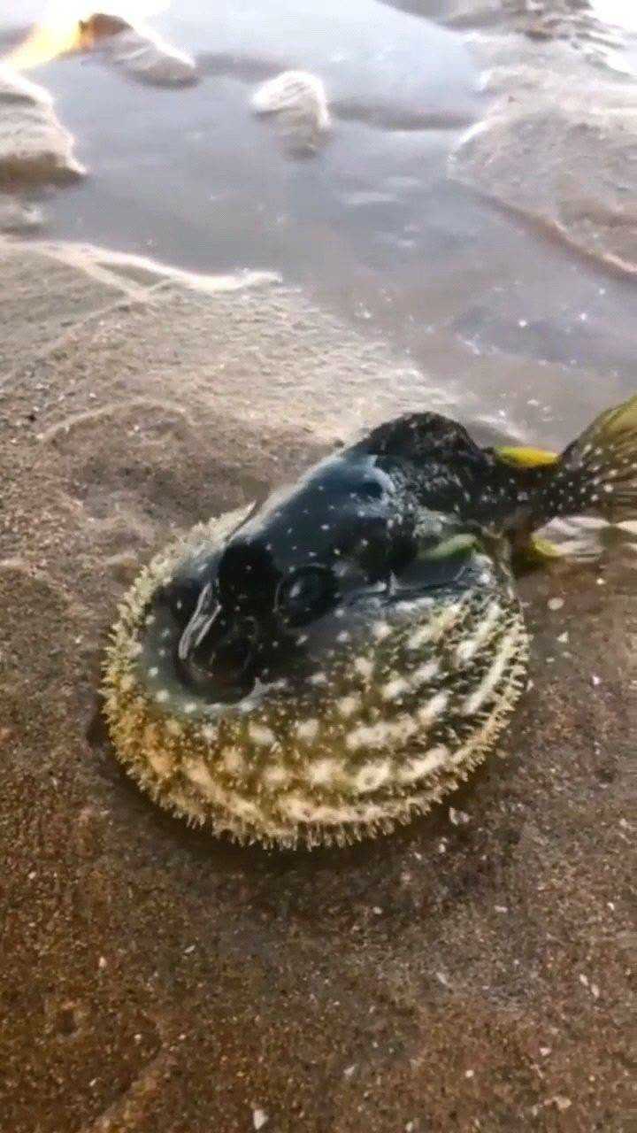 720_1280竖版 竖屏