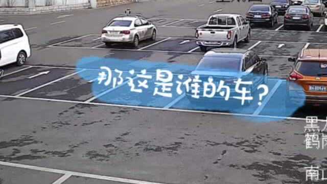 “态”囧案例合集:上半年黑龙江省查处酒驾醉驾2.2万起