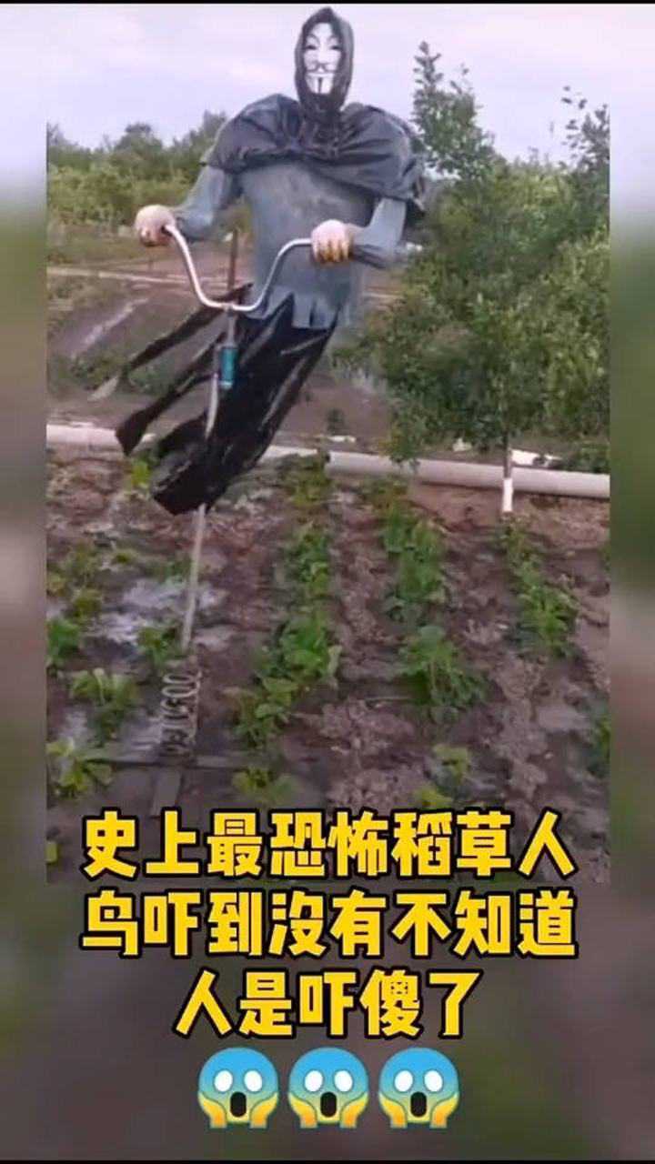 史上最恐怖稻草人