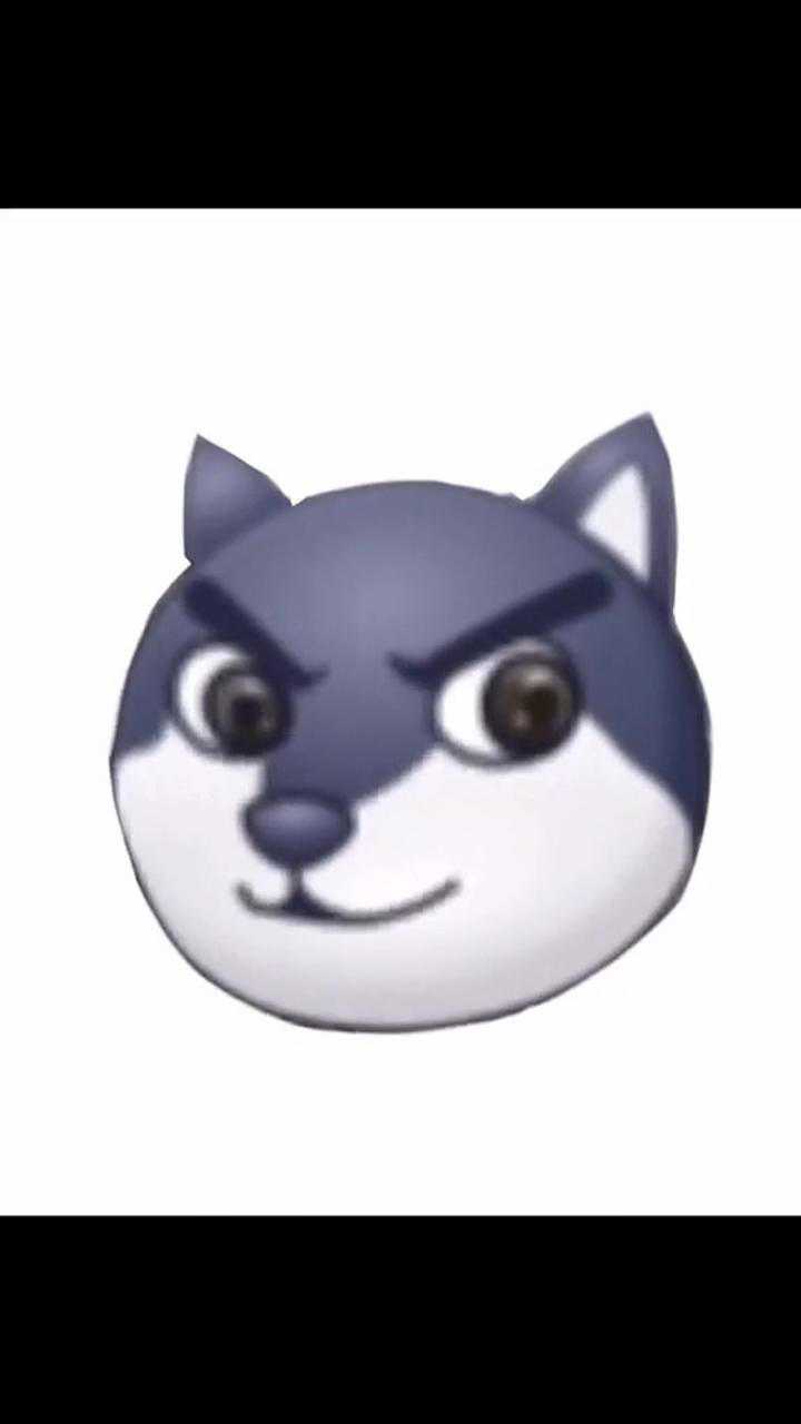 狗头也给大家安排了!