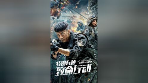 《特别有种:致命行动》维和小哥哥跨越山海,送你回家_电影_高清1080p