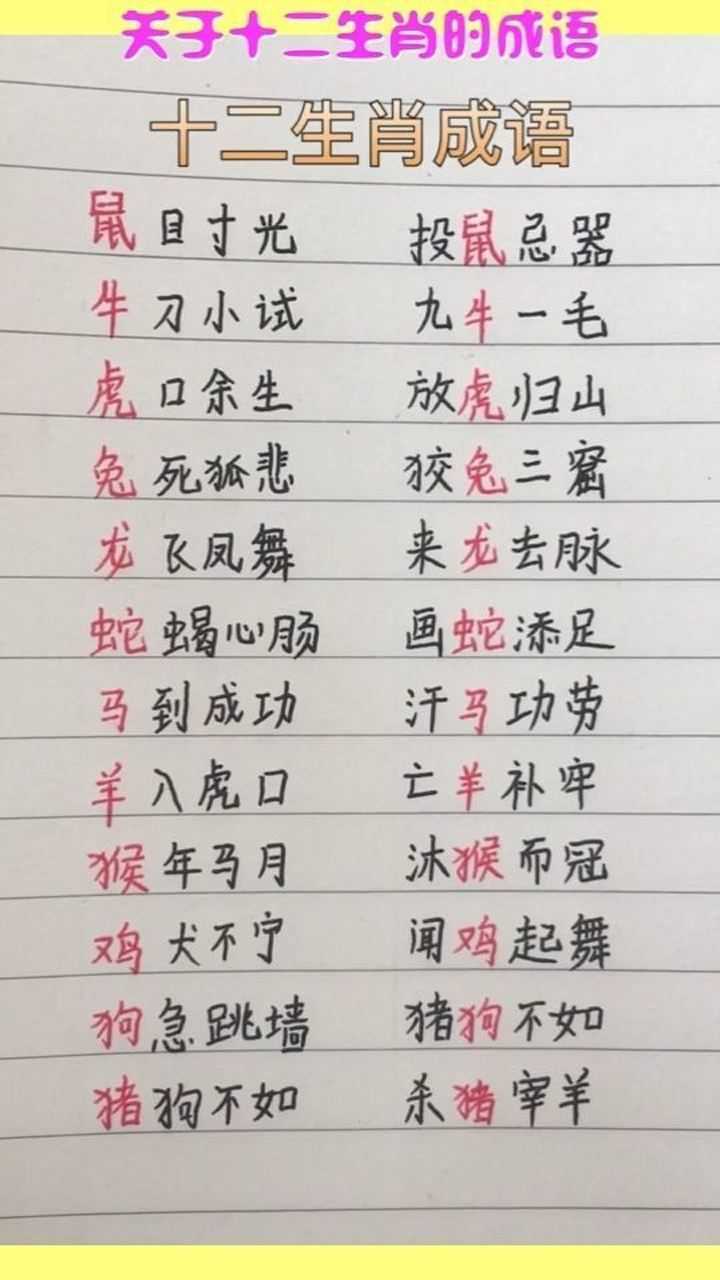 关于十二生肖的成语,你还有补充的吗?_腾讯视频