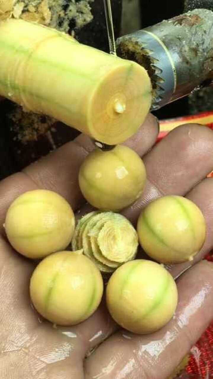 六道木又叫降龙木