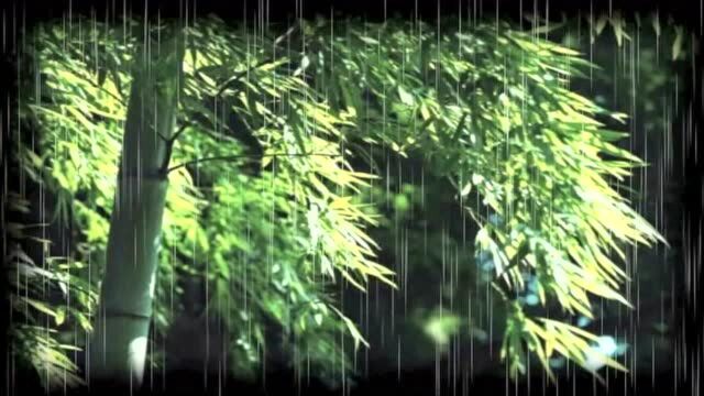 扬州清曲《听雨》平生事,悲欢离合,尽在雨声中