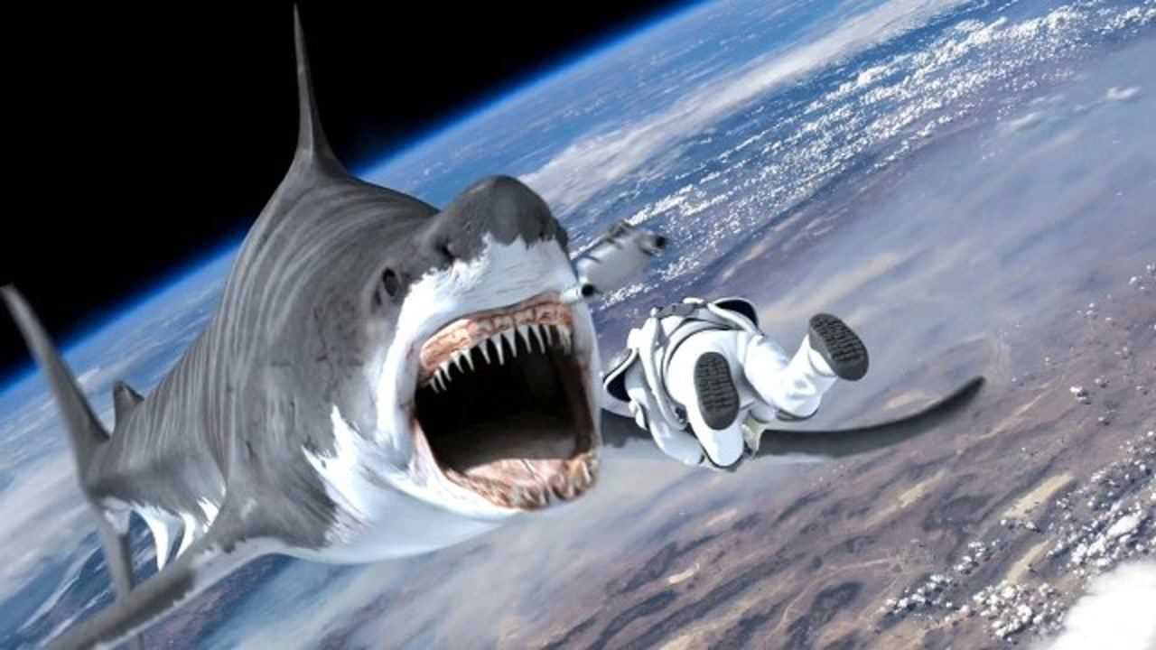 被美国人玩坏的鲨鱼:从双头进化成六个头,进军外太空屠杀人类