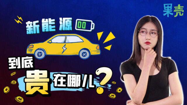 给新能源汽车列个账单儿,钱您花明白了么?