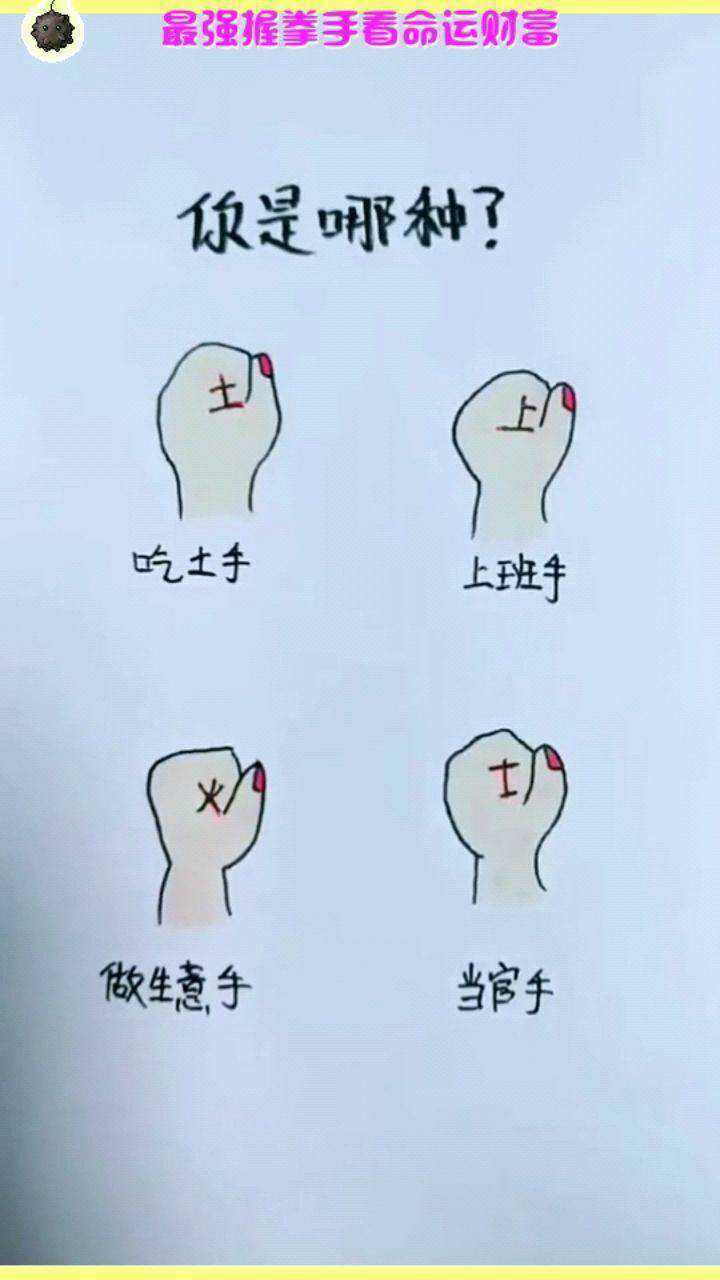 最强握拳手看命运财富是吃土手是当官手一眼就看穿