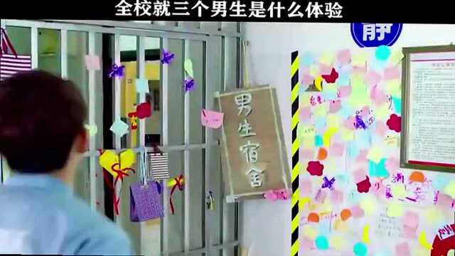 高考填错志愿,进了卫校,结果全校就三个男生,电影《卫校男生》