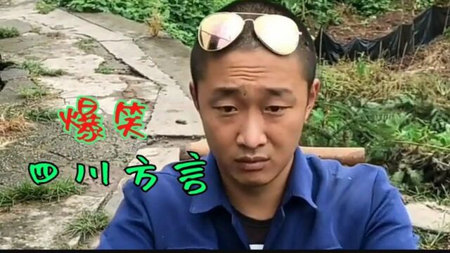 四川爆笑方言;小农民想要快速致富 结局太搞笑了