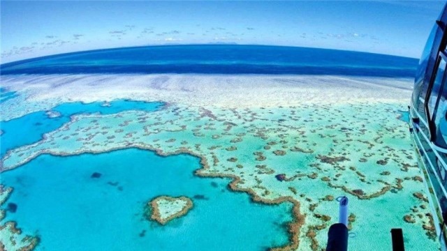 即将消失的世界美景:澳大利亚大堡礁游玩攻略