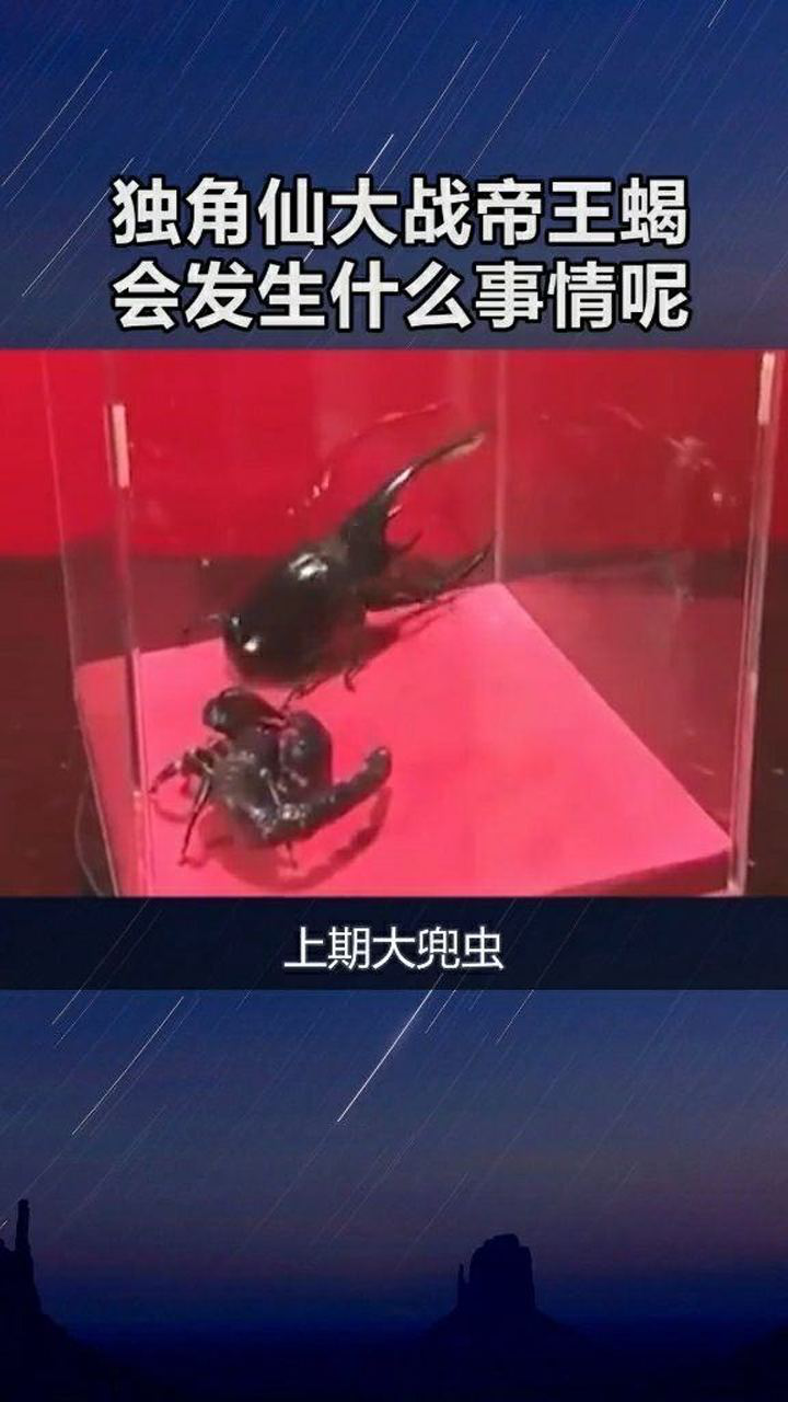 涨知识独角仙大战帝王蝎会发生什么事情