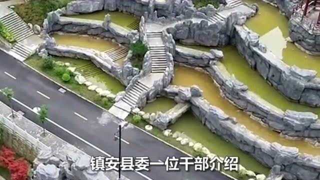 陕西一脱贫县举债7.1亿建豪华中学,当地干部:文化旅游一起抓