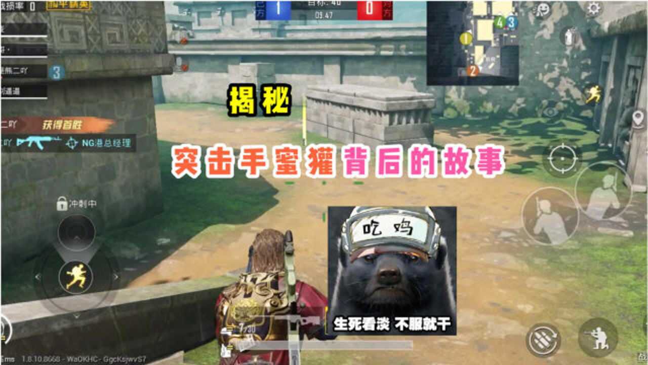 突击手蜜獾游戏背后的故事,他的宠物猫是他的克星