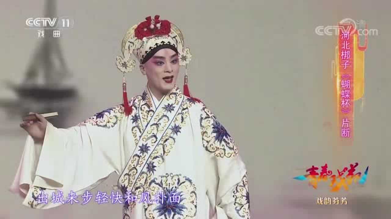 河北梆子蝴蝶杯选段出城来步轻快和风扑面丁云飞演唱