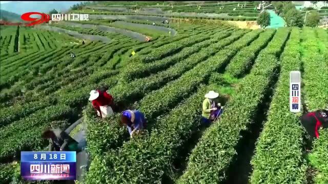 达州:固本强基,领导干部坚决打好扶贫“组合拳”!