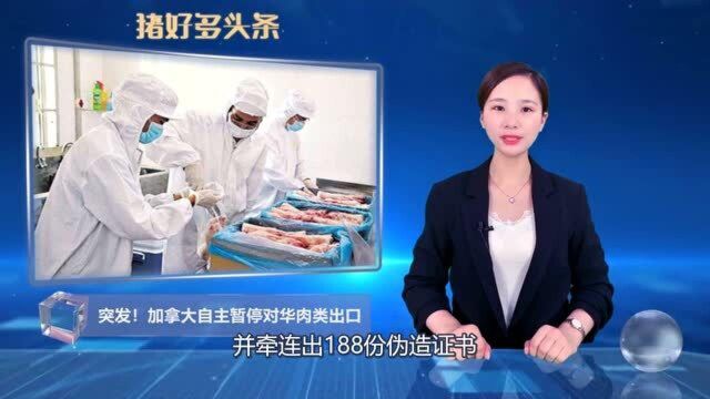 突发!加拿大肉企爆发新冠疫情,该国肉企自主暂停对华肉类出口!