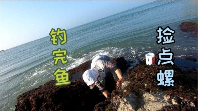 阿杰到无人岛海钓,大章跳咬上了阿杰的鱼钩,结果又被戏弄了