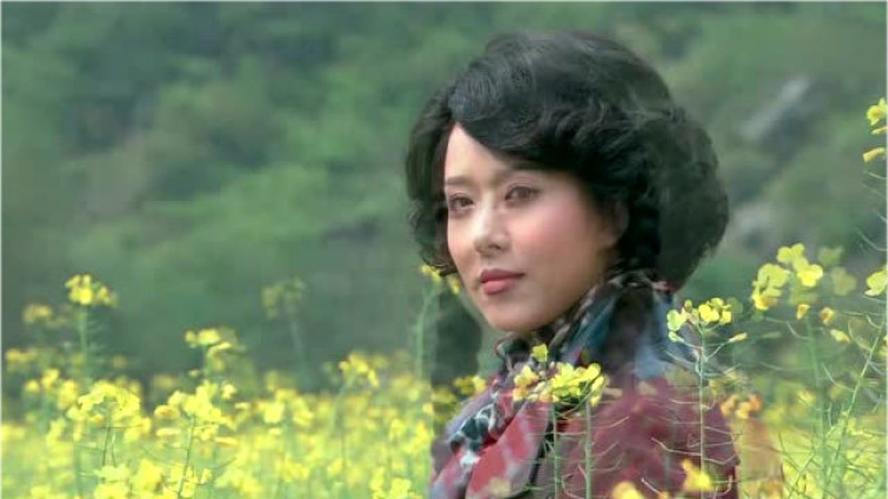 速看油菜花香第30集英子把福禄送回乐坑邓京生想向英子求婚