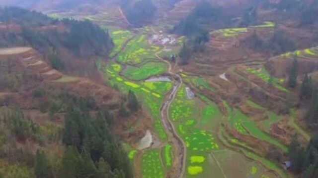 此地圆山为穴星,青龙白虎护卫,让多少风水大师望尘莫及