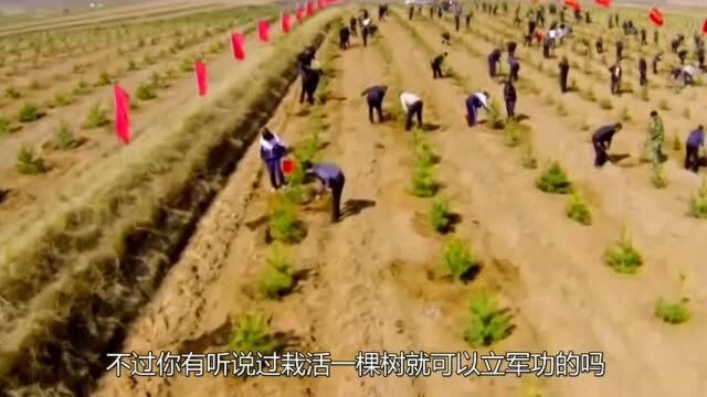 中国最“奇怪”的县,方圆十里不见一树,你们知道这是什么原因吗?