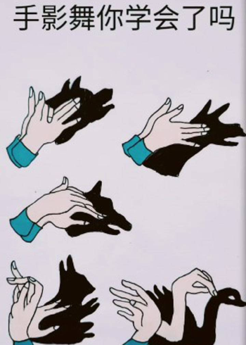 跟我学手影吧