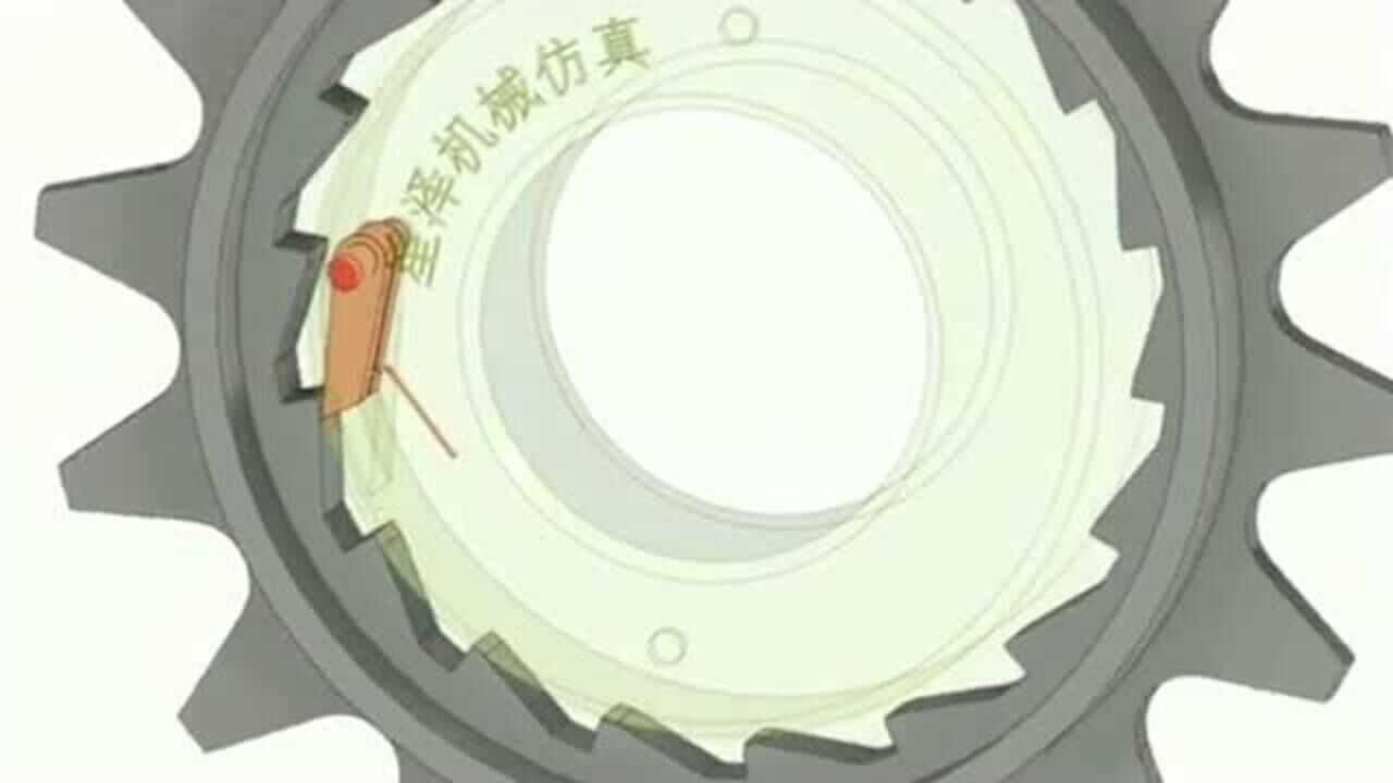 这就是自行车棘轮棘爪的工作原理,我还是第一次见,真的是长见识了!