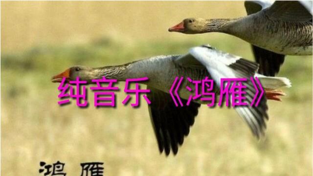 纯音乐:马头琴《鸿雁》请欣赏!