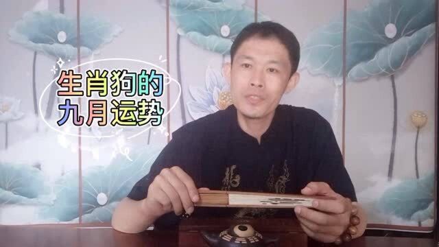 生肖狗的9月,出路在何方,谁真正的好运