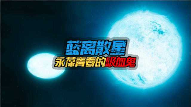 恒星中的“吸血鬼”?蓝离散星为何可以永葆青春?