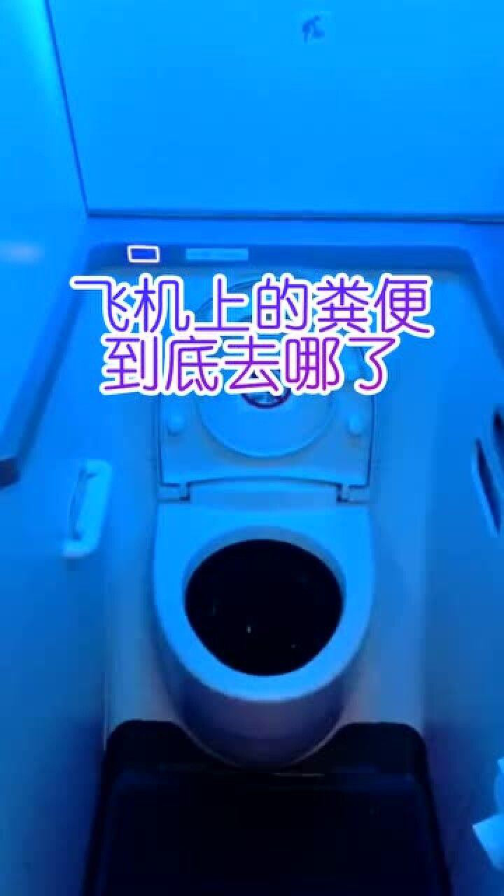 在飞机上厕所,粪便到底去哪了,今天可算知道了!