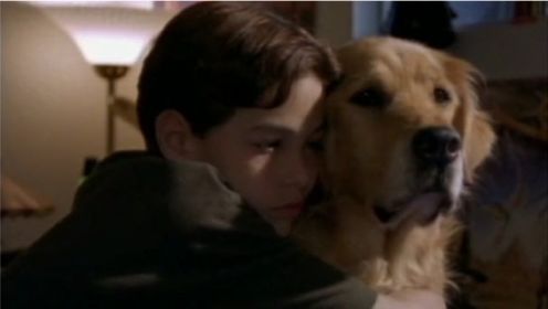 《家有仙狗》：狗狗还魂回到男孩身边，它是还有什么遗愿未了吗？