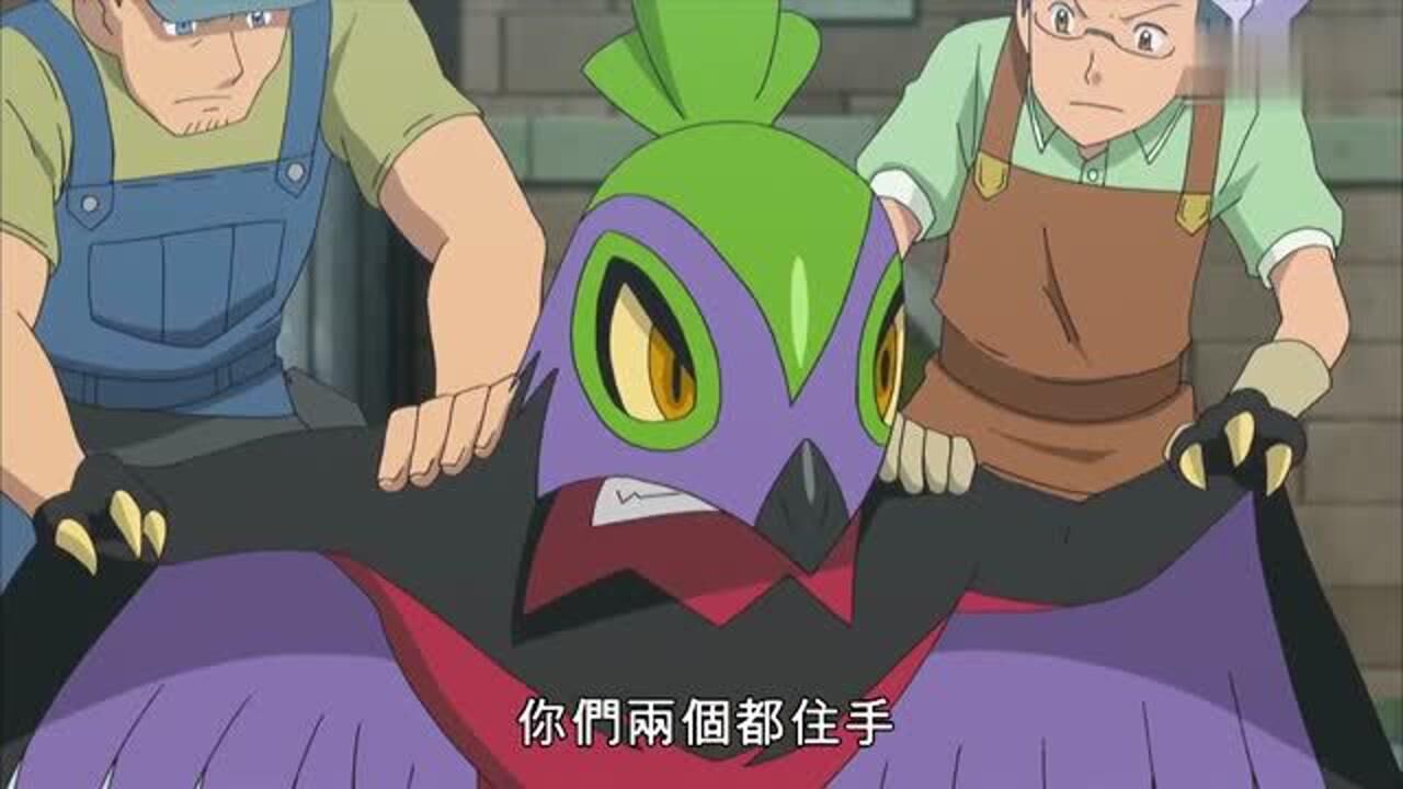 精灵宝可梦战斗飞鸟和黑暗斗鸟打出真火两个人开始真的打起来