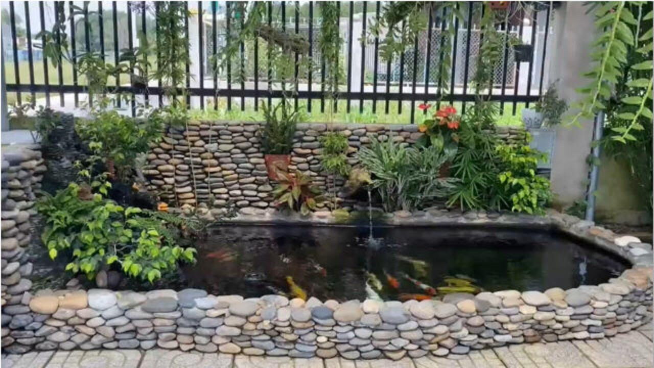 花了2000左右在院子里自建鱼池养锦鲤全部用鹅卵石效果不错