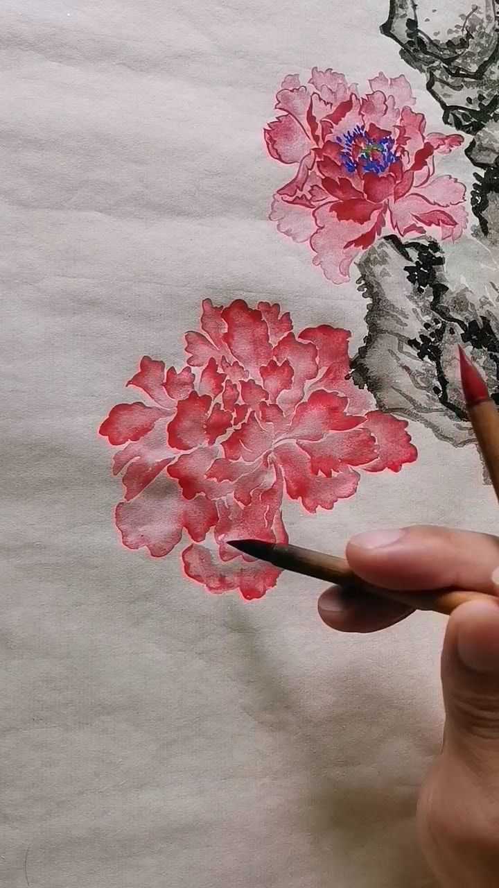 画牡丹花_腾讯视频